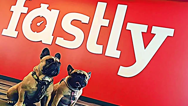 Fastly shares tanked 30% on disappointing full-year guidance