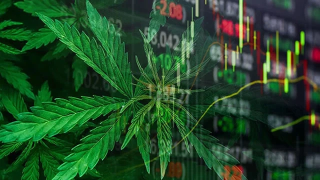 The Future of Cannabis Stocks in 2021