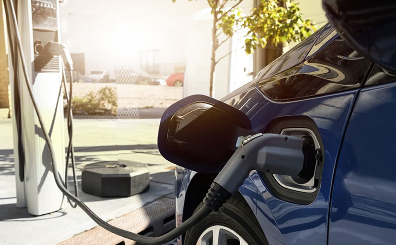 Which electric vehicle stock should you choose?
