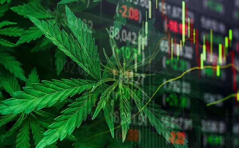 The Future of Cannabis Stocks in 2021